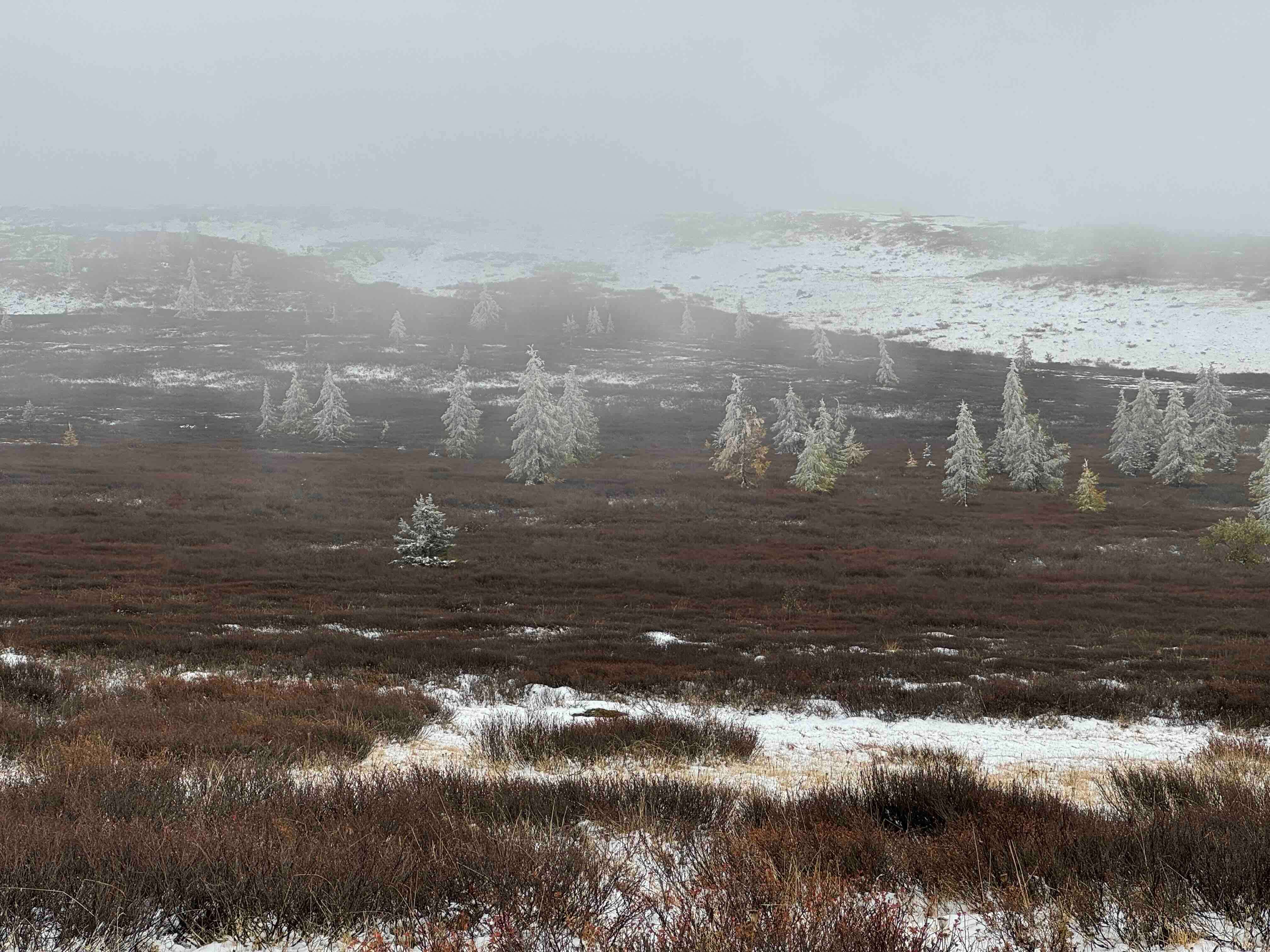 староавстрийская дорога 5.jpg