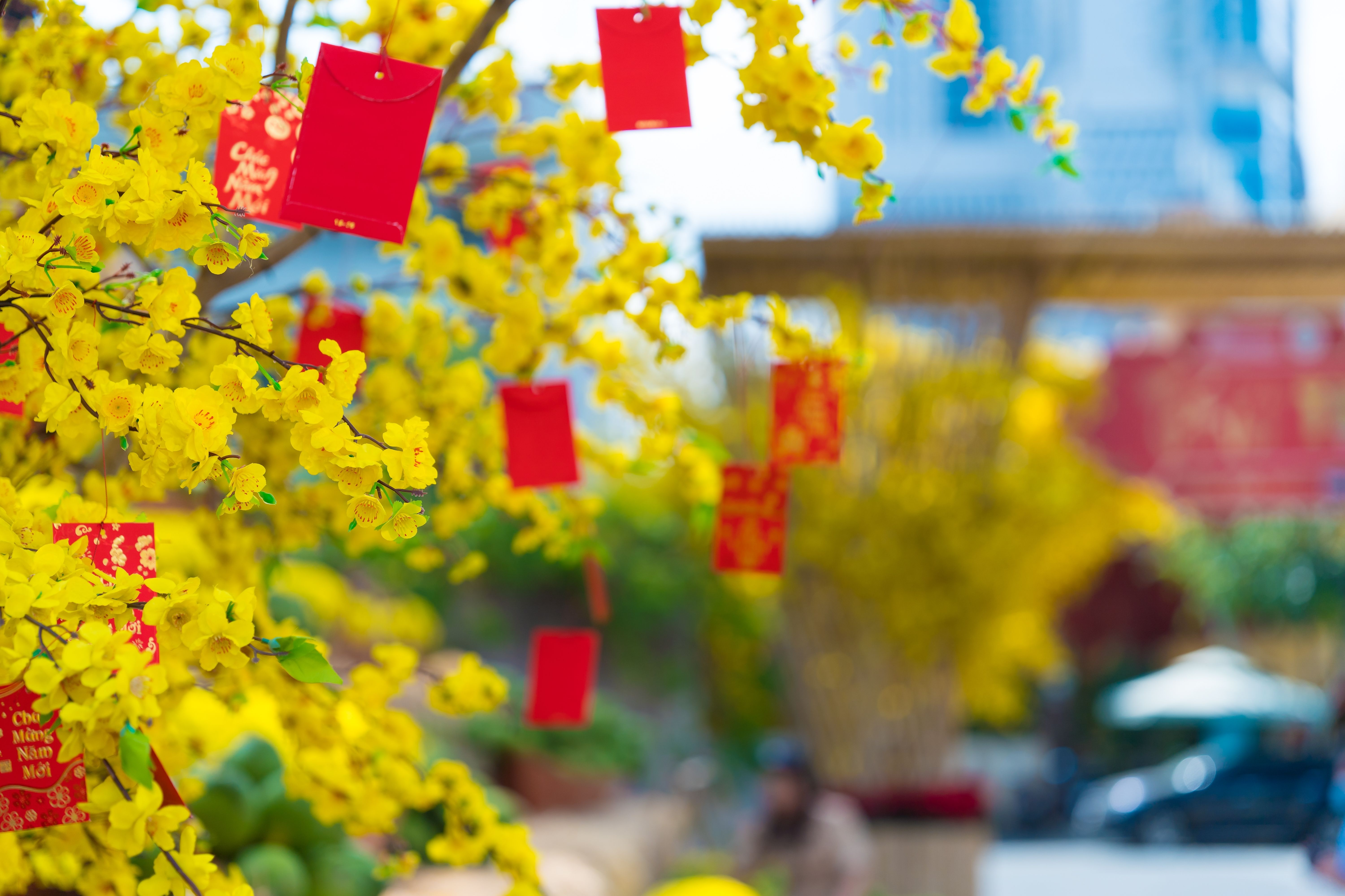 тет вьетнам.jpg