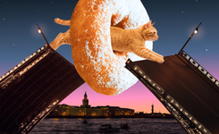 Звёзды белых ночей: когда в Петербурге разводят мосты