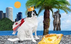 Что посмотреть в Батуми: башня в виде молекулы ДНК, порт и другие достопримечательности