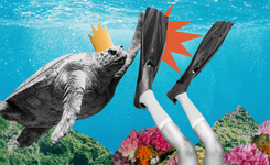 Тайский остров Ко Тао: вот 5 причин, по которым вам нужно его посетить