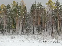 Природа Сибири