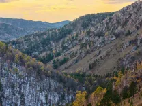 Природа Сибири