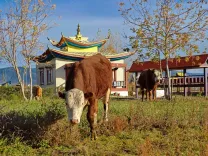 Иволгинский дацан