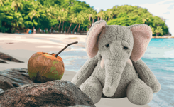 Бедные слоники и никаких тротуаров: почему мне не понравился Пхукет