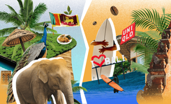 Бали против Шри-Ланки: решаем, где лучше загорать и покорять волны 