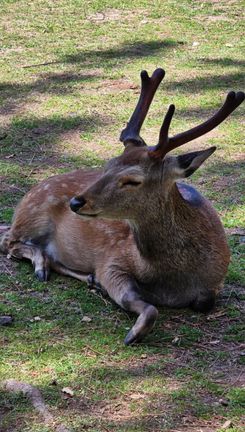 2025-11-12 01-06-15.JPG