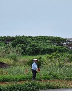 2025-11-12 01-09-28.JPG