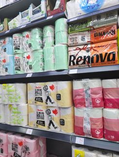 2025-11-12 12-24-36.JPG