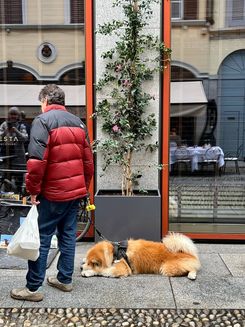 Улица Милана