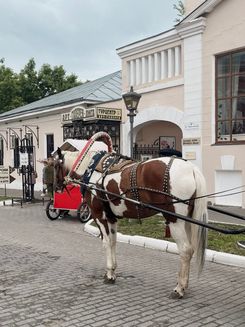 Улица Лажечникова в Коломне