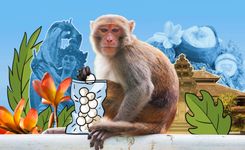 Гид по Убуду: когда ехать, куда сходить и к чему нужно быть готовым, если едешь впервые 