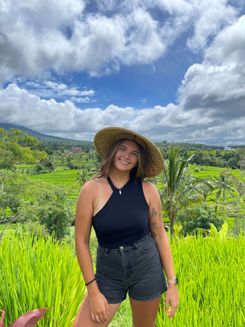 Бали рисовые террасы.jpg