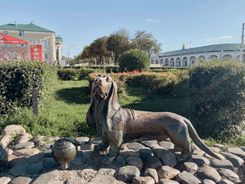 Памятник собаке в Костроме