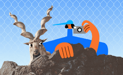 Гид по Московскому зоопарку: любуемся пандами и смотрим, как кормят тигра