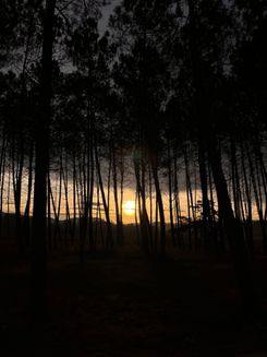 Путь Камино-де-Сантьяго на рассвете