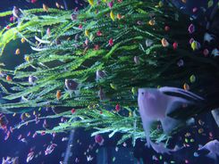 IMG_20231216_123702 (1).jpg