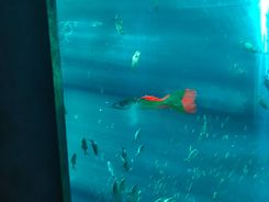 IMG_20231216_140115 (1).jpg