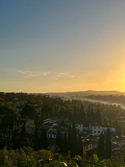 Сады Боболи во Флоренции