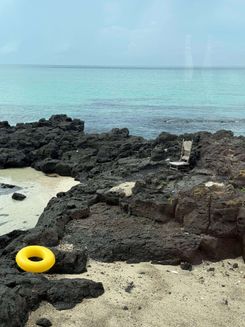 Кафе на Чеджу