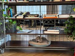 IMG_8232_(1) (1).jpeg