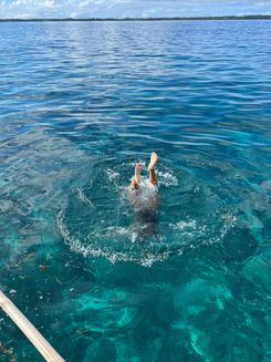 Море на Филиппинах