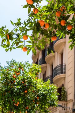 Испания в апреле