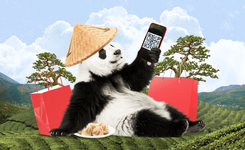 Как платить в Китае в 2026 году