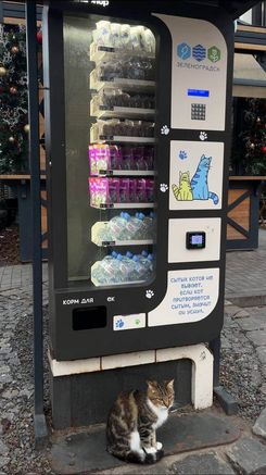 Автомат с кошачим кормом в Зеленоградске