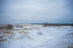 Куршская коса зимой
