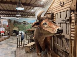 Музей сыра в Костроме