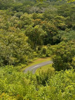 O'ahu Botanical Garden 3.jpg