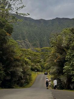 O'ahu Botanical Garden 4.jpg