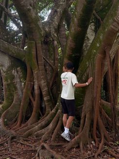 O'ahu Botanical Garden 5.jpg