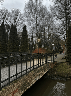 Парк в Калининграде с колесом обозрения