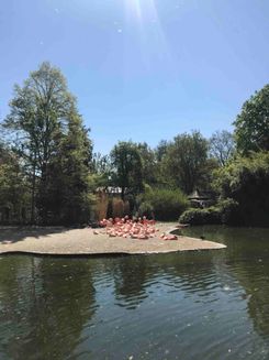 Пражский зоопарк 2.jpg