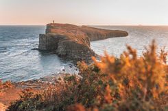 Природа Владивостока