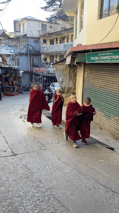 Screenshot 2026-01-28 at 16.17.51.png