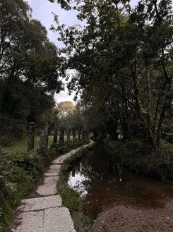 Путь Камино-де-Сантьяго