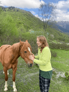 Лошади в горах
