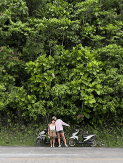 Пальмы на Филиппинах