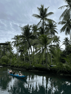 Джунгли и река на Филиппинах