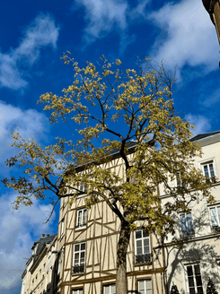 Улица Руана во Франции