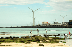 Пляж на Чеджу