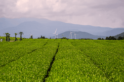 Остров Чеджу, Южная Корея