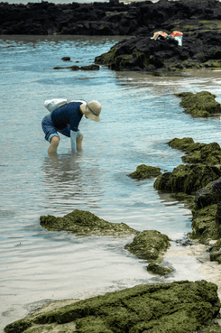 Пляж на Чеджу