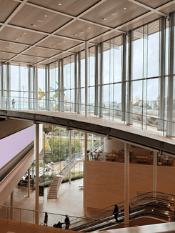 Музей современного искусства в Сиднее