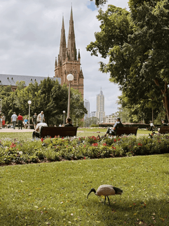 Гайд-парк в Сиднее, Австралия