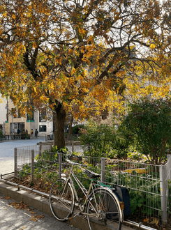 Улица Руана во Франции