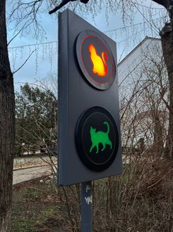 Светофор для кошек в Зеленоградске